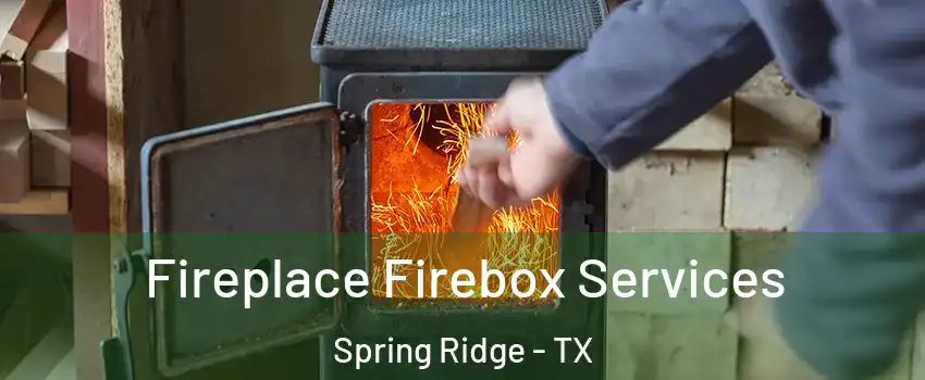 Fireplace Firebox Services Spring Ridge - TX