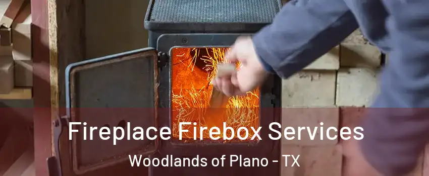 Fireplace Firebox Services Woodlands of Plano - TX