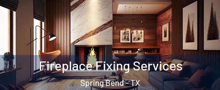 Fireplace Fixing Services Spring Bend - TX