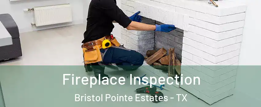 Fireplace Inspection Bristol Pointe Estates - TX