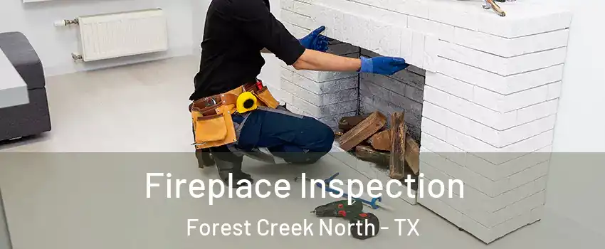 Fireplace Inspection Forest Creek North - TX