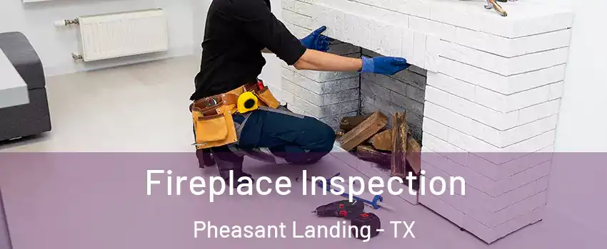 Fireplace Inspection Pheasant Landing - TX