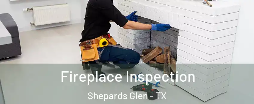 Fireplace Inspection Shepards Glen - TX