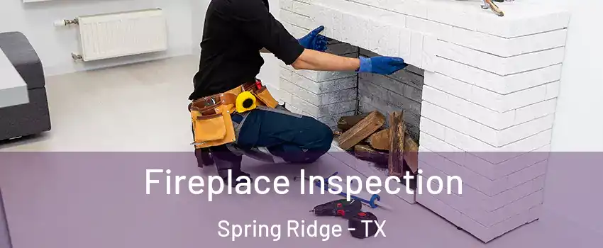 Fireplace Inspection Spring Ridge - TX