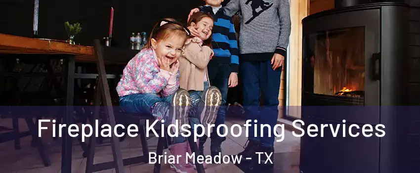Fireplace Kidsproofing Services Briar Meadow - TX