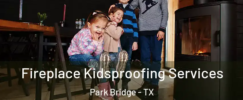 Fireplace Kidsproofing Services Park Bridge - TX