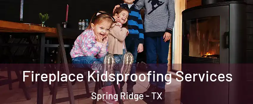 Fireplace Kidsproofing Services Spring Ridge - TX
