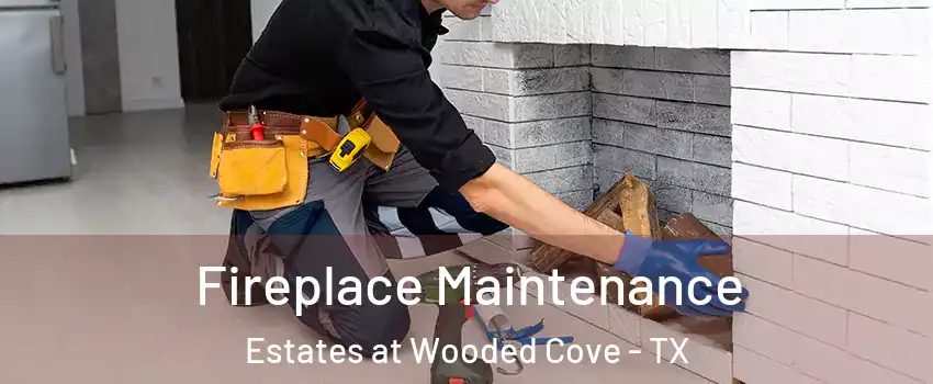 Fireplace Maintenance Estates at Wooded Cove - TX