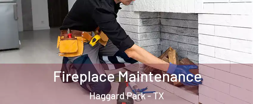 Fireplace Maintenance Haggard Park - TX