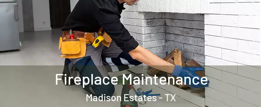 Fireplace Maintenance Madison Estates - TX