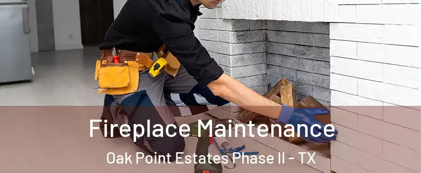 Fireplace Maintenance Oak Point Estates Phase II - TX