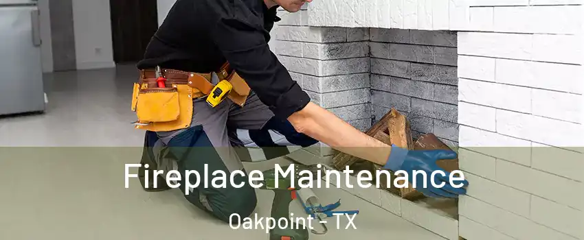 Fireplace Maintenance Oakpoint - TX