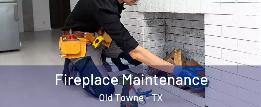 Fireplace Maintenance Old Towne - TX