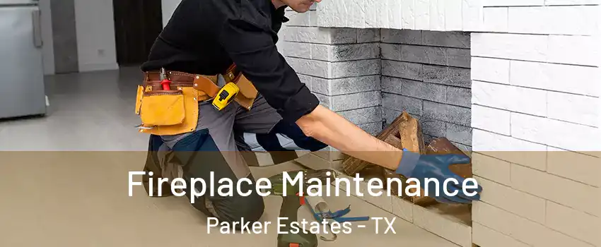 Fireplace Maintenance Parker Estates - TX