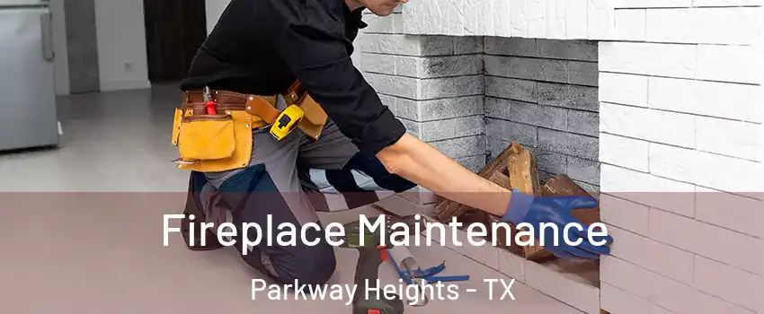 Fireplace Maintenance Parkway Heights - TX