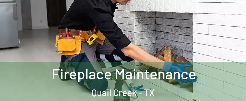 Fireplace Maintenance Quail Creek - TX