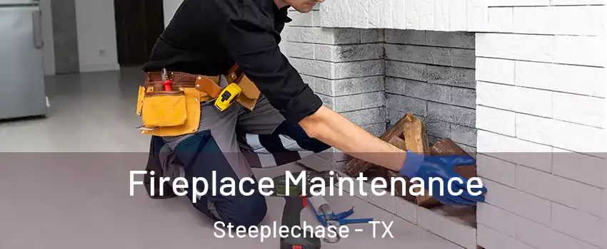 Fireplace Maintenance Steeplechase - TX