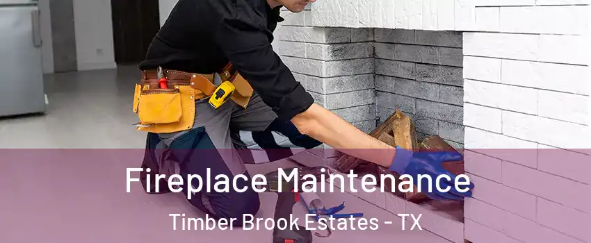 Fireplace Maintenance Timber Brook Estates - TX