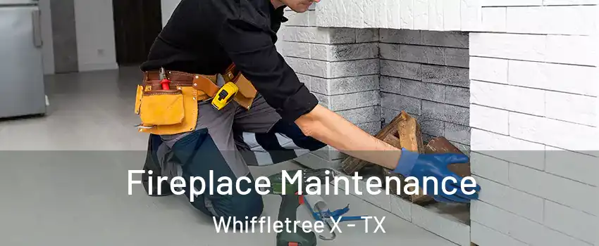 Fireplace Maintenance Whiffletree X - TX
