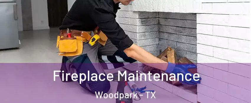 Fireplace Maintenance Woodpark - TX