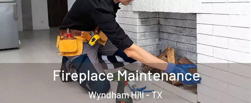 Fireplace Maintenance Wyndham Hill - TX
