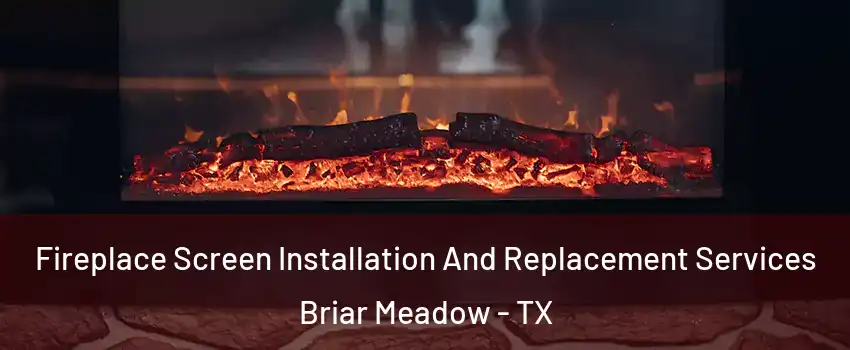 Fireplace Screen Installation And Replacement Services Briar Meadow - TX