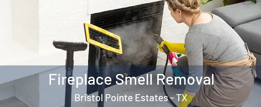 Fireplace Smell Removal Bristol Pointe Estates - TX