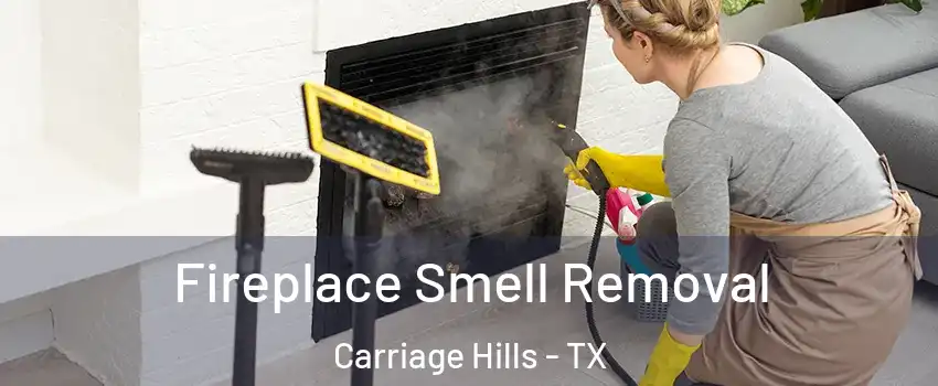 Fireplace Smell Removal Carriage Hills - TX