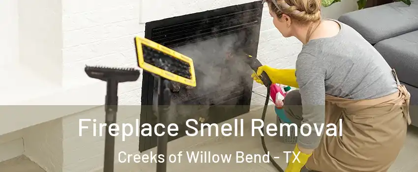 Fireplace Smell Removal Creeks of Willow Bend - TX