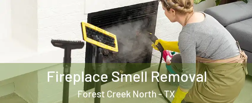 Fireplace Smell Removal Forest Creek North - TX