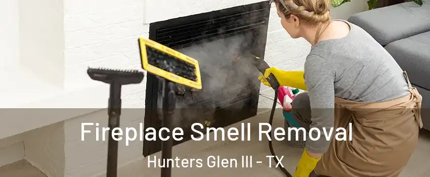 Fireplace Smell Removal Hunters Glen III - TX