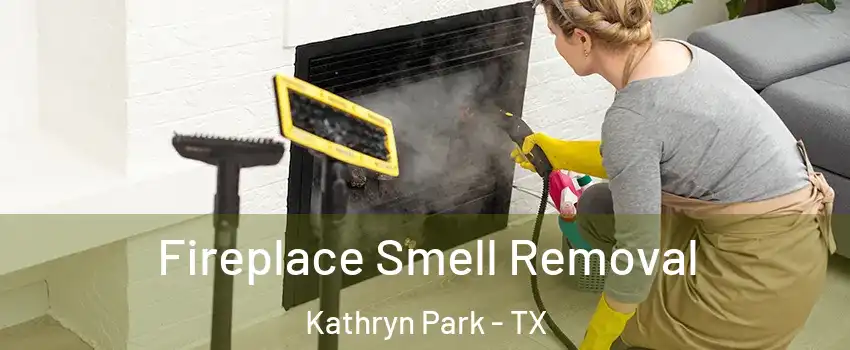 Fireplace Smell Removal Kathryn Park - TX