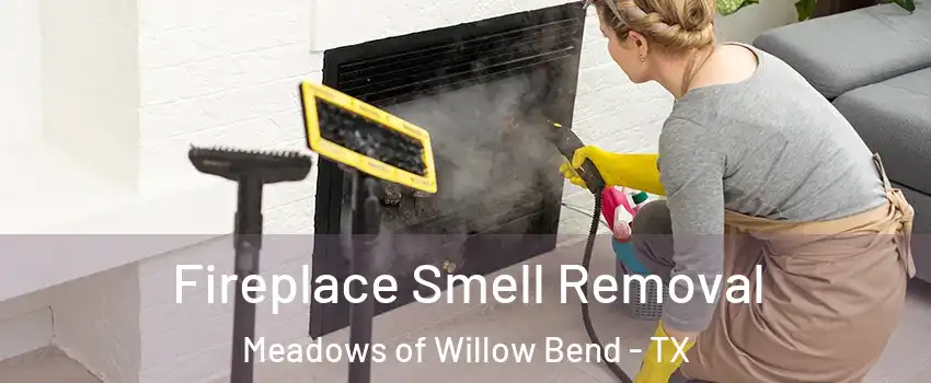 Fireplace Smell Removal Meadows of Willow Bend - TX