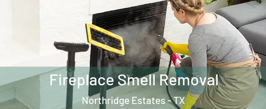 Fireplace Smell Removal Northridge Estates - TX