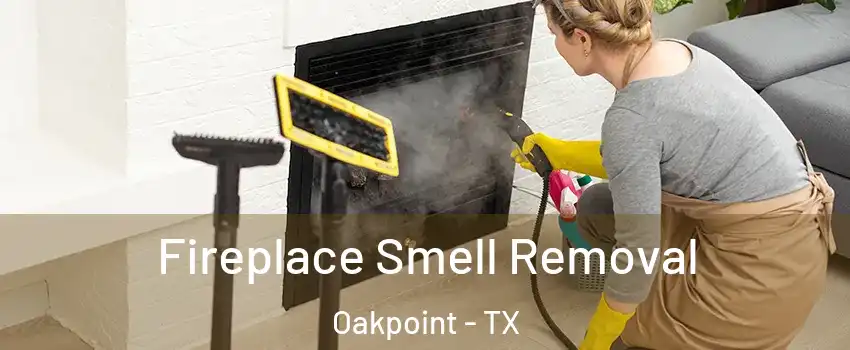 Fireplace Smell Removal Oakpoint - TX