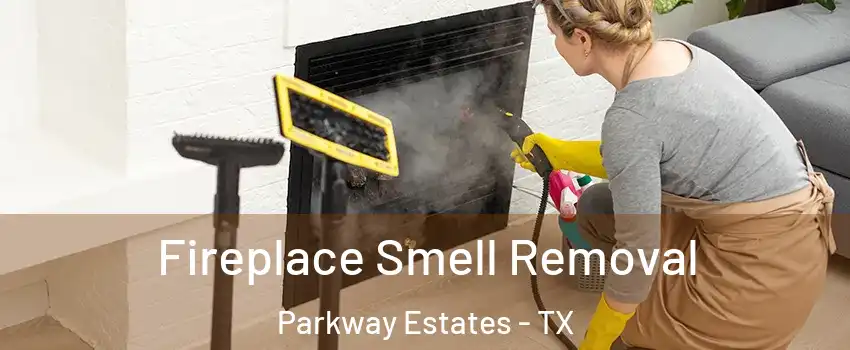 Fireplace Smell Removal Parkway Estates - TX
