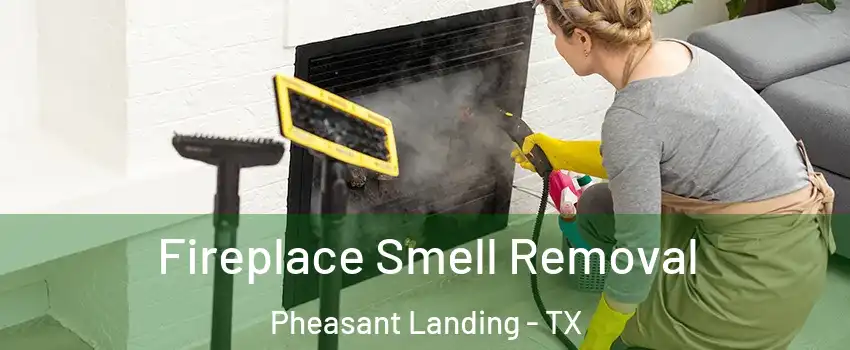 Fireplace Smell Removal Pheasant Landing - TX