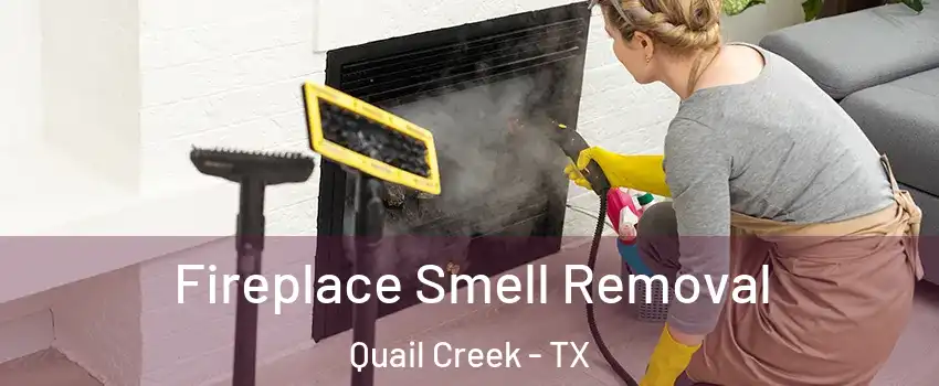 Fireplace Smell Removal Quail Creek - TX