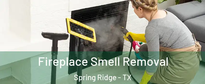 Fireplace Smell Removal Spring Ridge - TX