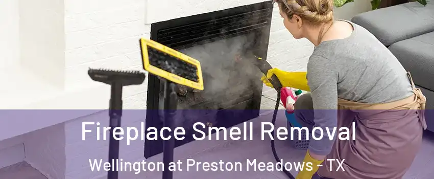 Fireplace Smell Removal Wellington at Preston Meadows - TX