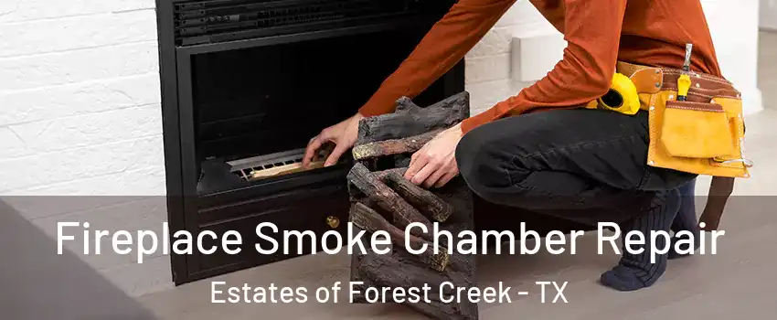 Fireplace Smoke Chamber Repair Estates of Forest Creek - TX