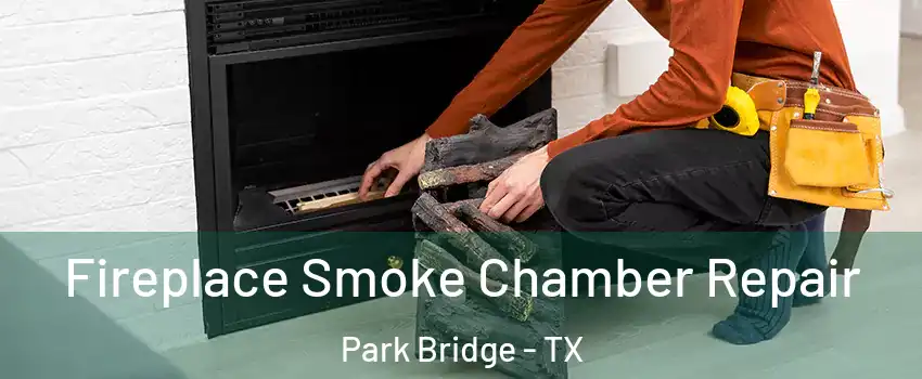 Fireplace Smoke Chamber Repair Park Bridge - TX