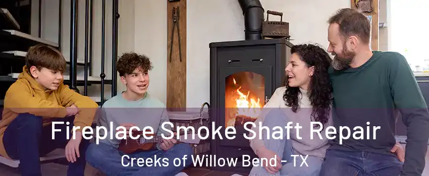 Fireplace Smoke Shaft Repair Creeks of Willow Bend - TX