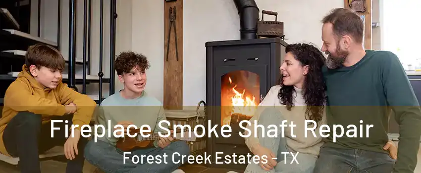 Fireplace Smoke Shaft Repair Forest Creek Estates - TX
