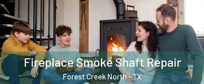 Fireplace Smoke Shaft Repair Forest Creek North - TX