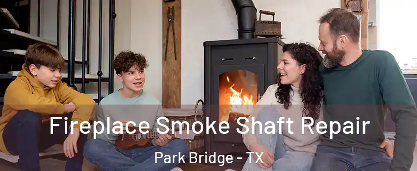 Fireplace Smoke Shaft Repair Park Bridge - TX