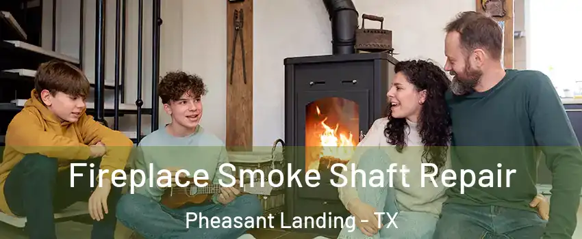 Fireplace Smoke Shaft Repair Pheasant Landing - TX