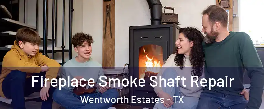 Fireplace Smoke Shaft Repair Wentworth Estates - TX