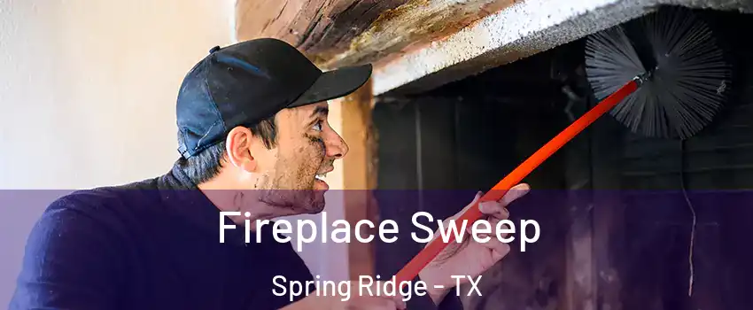 Fireplace Sweep Spring Ridge - TX
