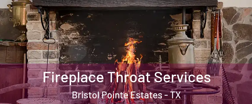 Fireplace Throat Services Bristol Pointe Estates - TX